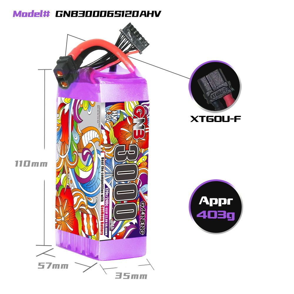 GNB 리포 배터리 6S 22.8V 3000mAh 52 - Drone Battery 6S 리뷰 및 가격